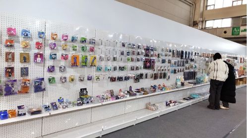 第二届中国 哈尔滨 国际动漫游戏博览会启幕